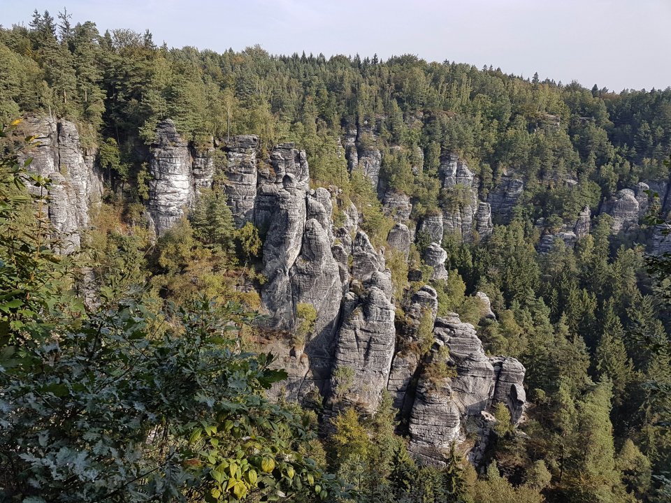 Vereinsausflug 2016